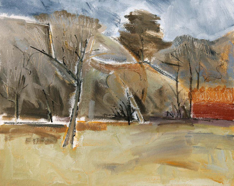 Winter woods