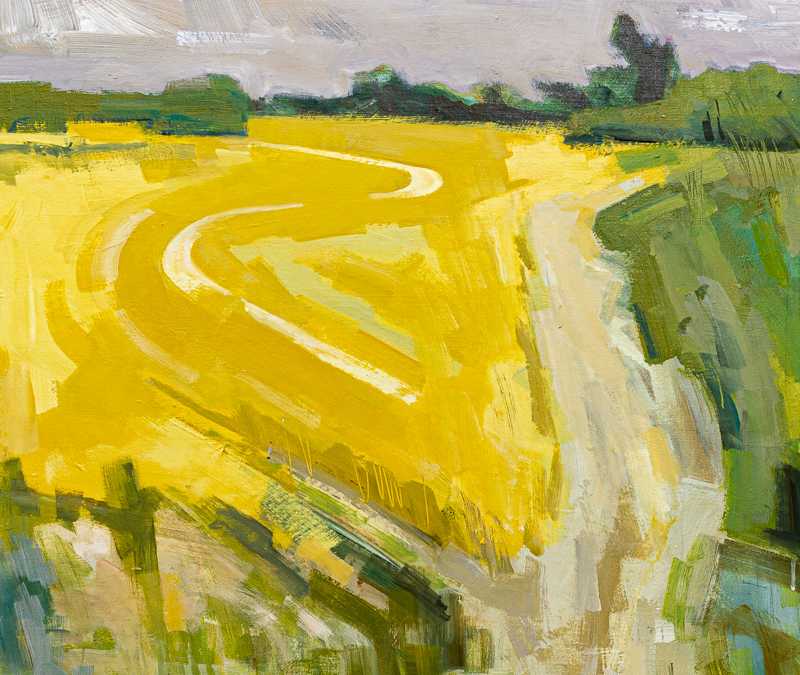 A Field of Golden Yellow