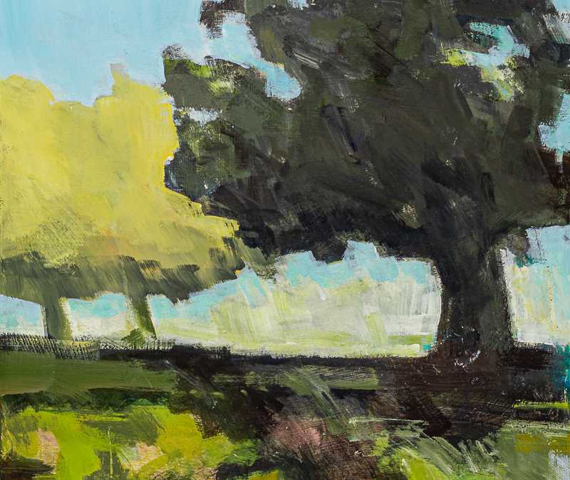 Shady Oak 2