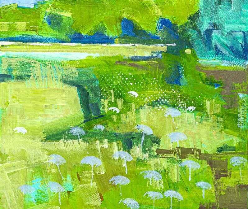 Meadow